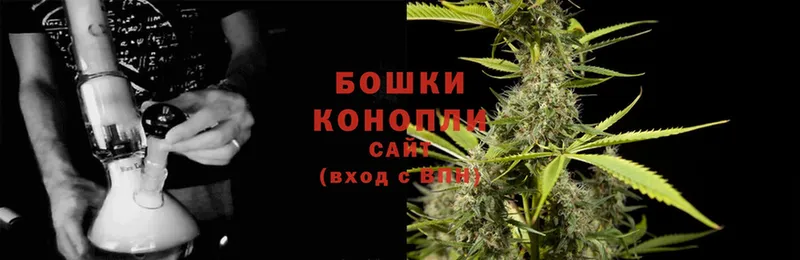 МАРИХУАНА SATIVA & INDICA  Куртамыш 